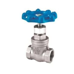 Globe Valve