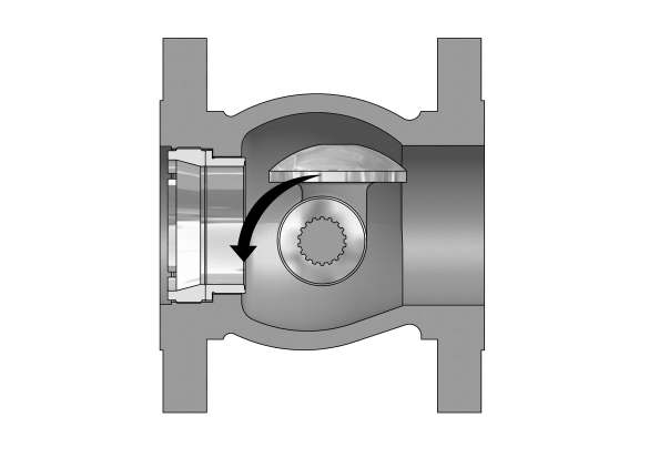 Rotary Control Valve