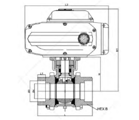 FlowX - Electric Actuator Butt Weld Ball Valve