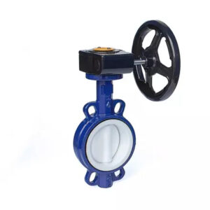 flowx gearoperated fully lined butterfly valve 1 alldismo coltd alldismo coltd