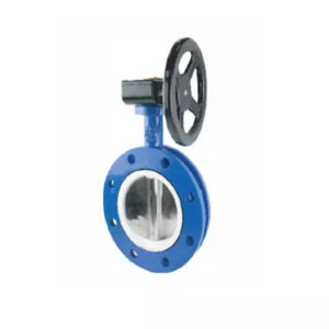 flowx gearoperated utype butterfly valve 1 alldismo coltd alldismo coltd