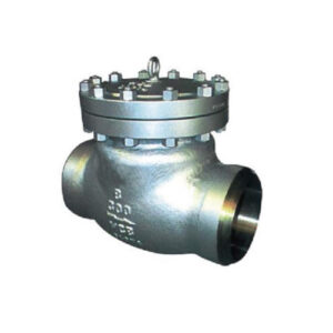 Swing Check Valve